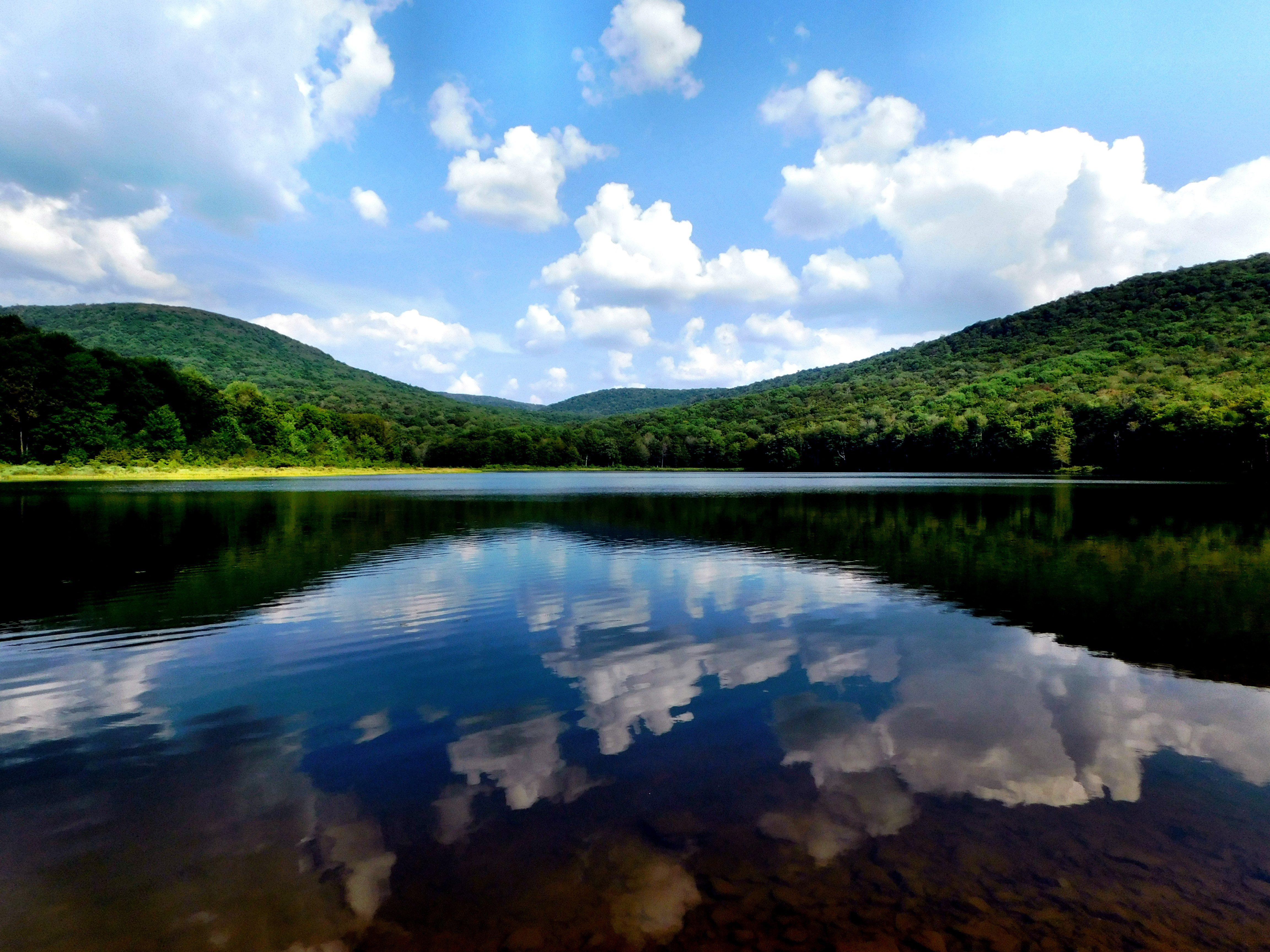 Privilege to be alive