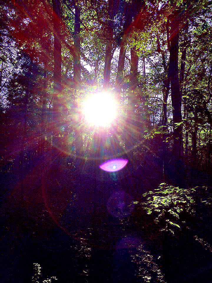 Rise in love, don’t fall…