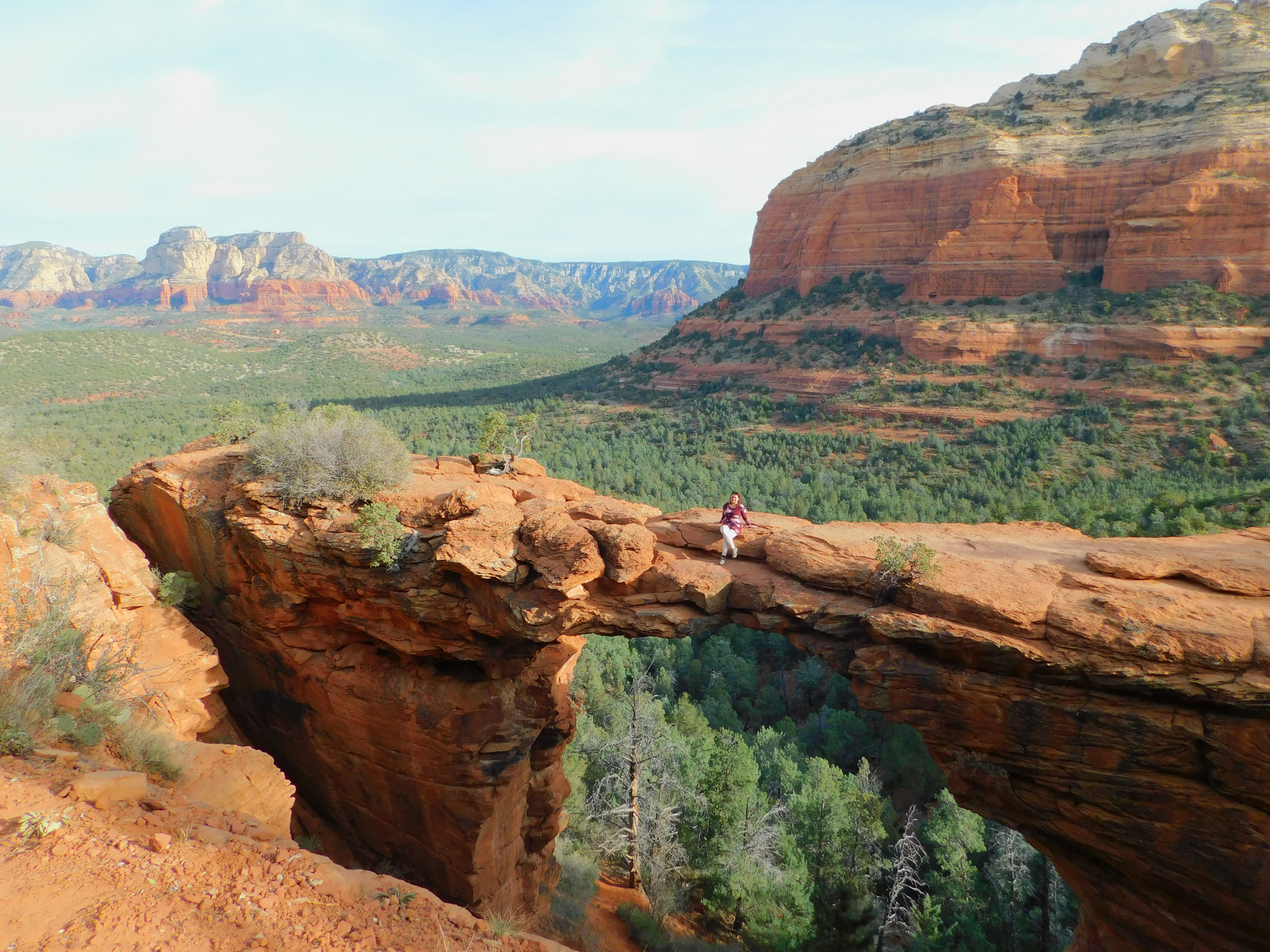 Celebrate Life – or how to overcome a low vibrational state