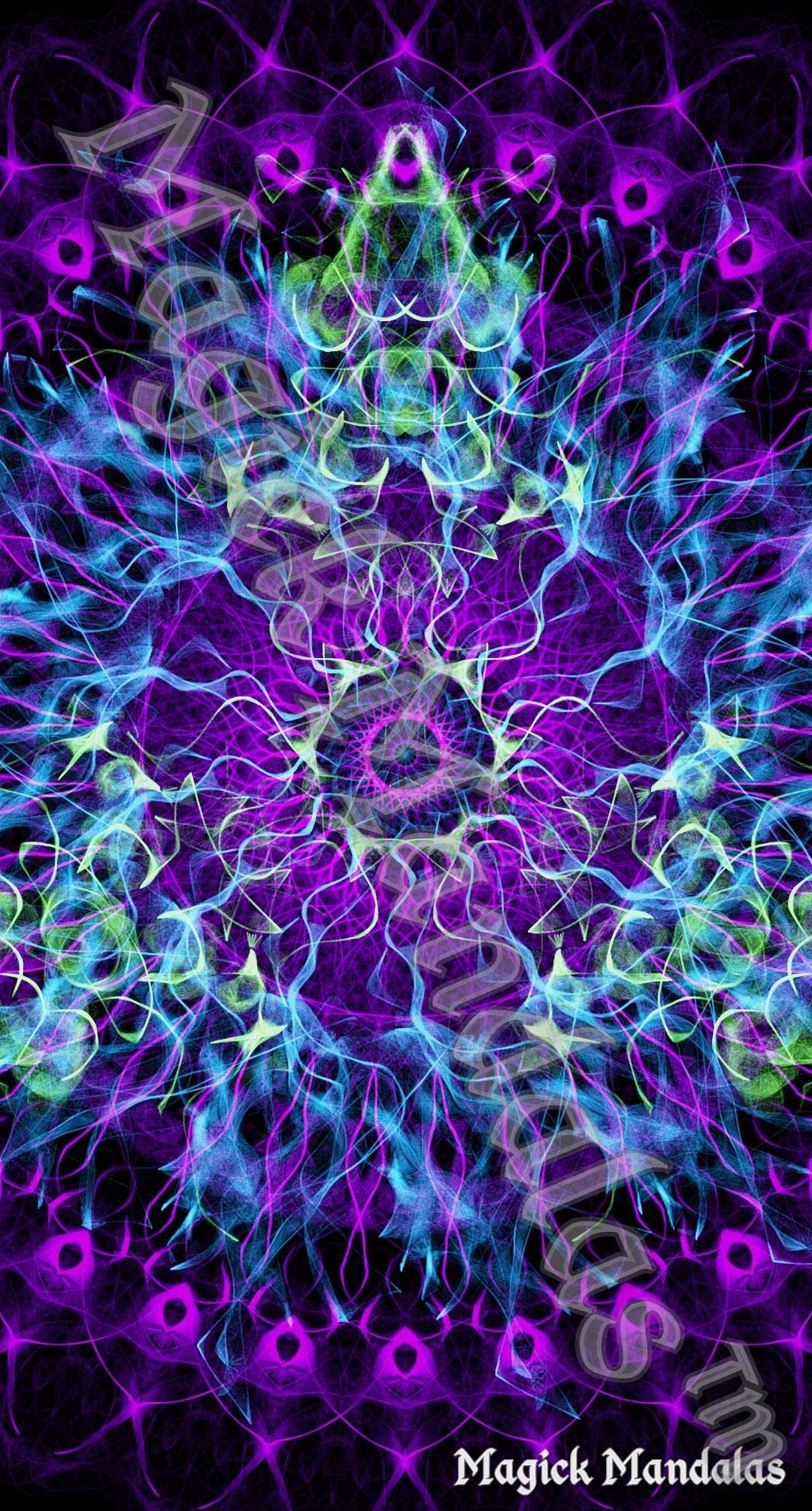 We are the Universe