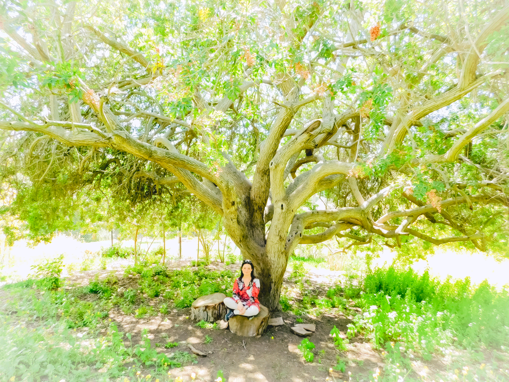 Why you should be your own guru