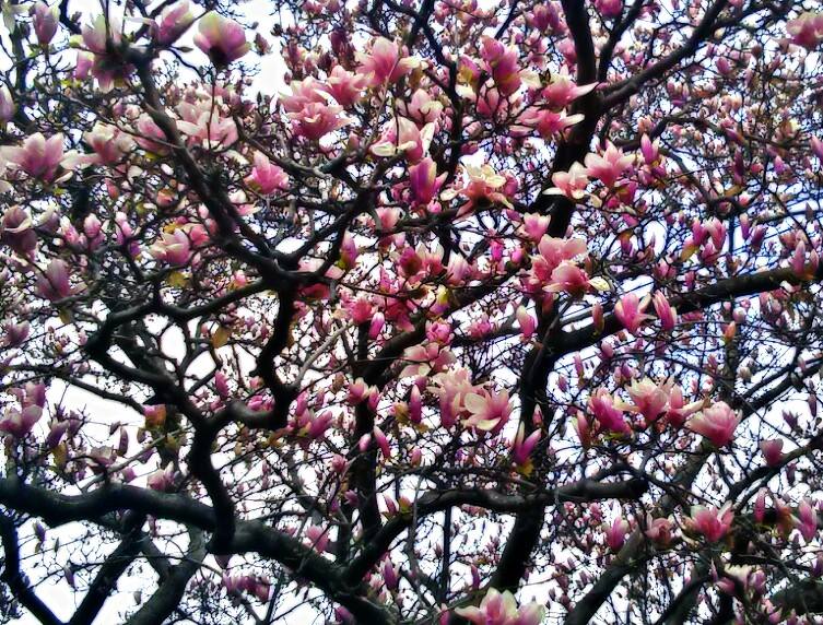 A Twin Flame Relationship is the Crème de la crème of Relationships