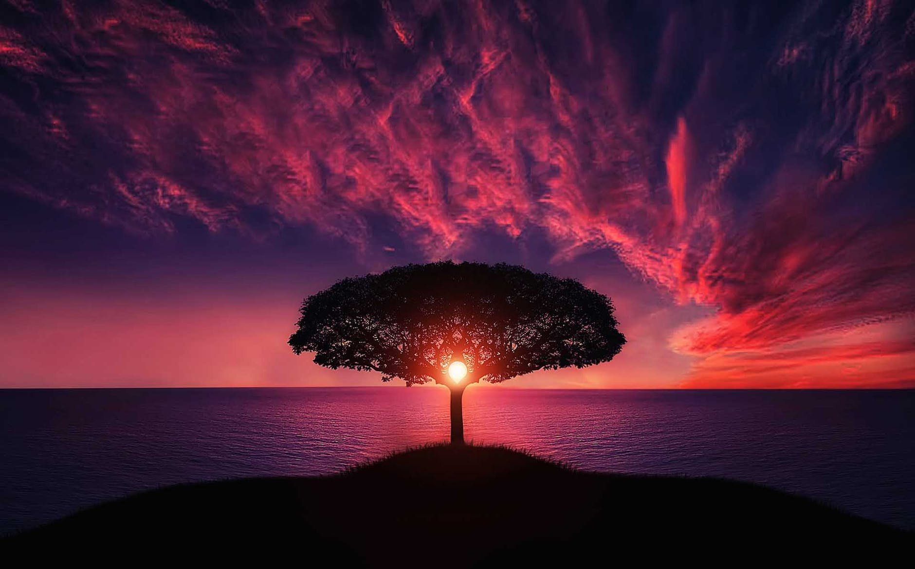 The Law Of Attraction (Poetry)